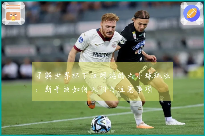了解世界杯下注网站的大小球玩法，新手该如何入门与注意事项