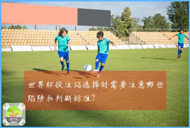 世界杯投注站选择时需要注意哪些陷阱和判断标准？