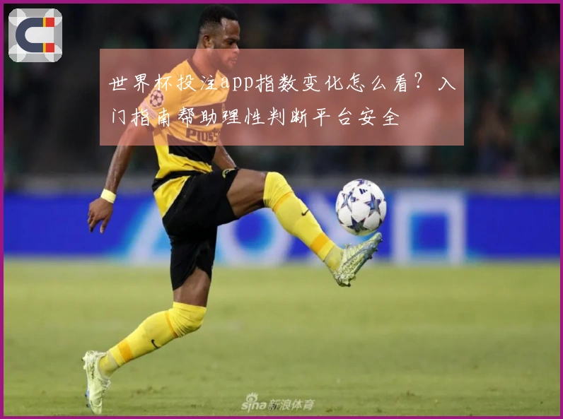 世界杯投注app指数变化怎么看？入门指南帮助理性判断平台安全