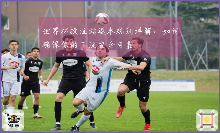 世界杯投注站返水规则详解，如何确保你的下注安全可靠