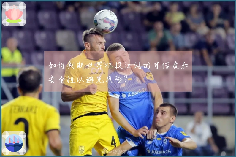 如何判断世界杯投注站的可信度和安全性以避免风险？