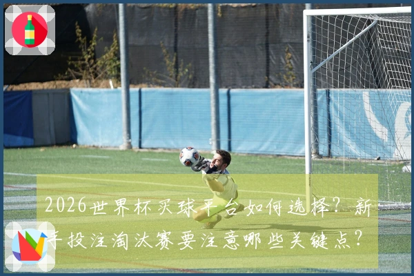 2026世界杯买球平台如何选择？新手投注淘汰赛要注意哪些关键点？
