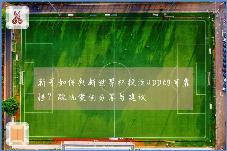 新手如何判断世界杯投注app的可靠性？踩坑案例分享与建议
