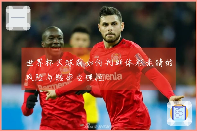 世界杯买球前如何判断体彩竞猜的风险与赔率合理性