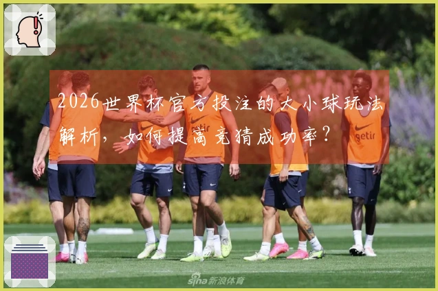 2026世界杯官方投注的大小球玩法解析，如何提高竞猜成功率？