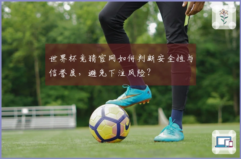 世界杯竞猜官网如何判断安全性与信誉度，避免下注风险？