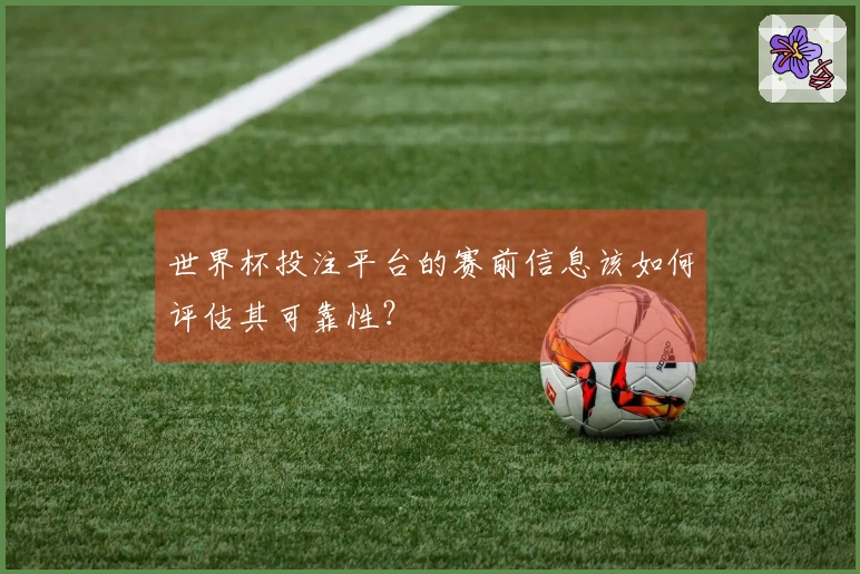 世界杯投注平台的赛前信息该如何评估其可靠性？