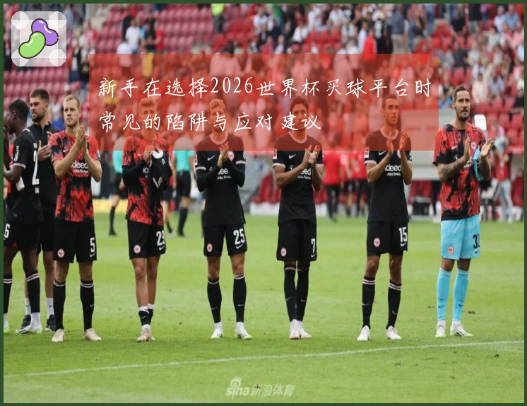新手在选择2026世界杯买球平台时常见的陷阱与应对建议