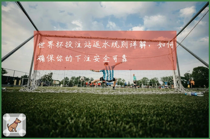 世界杯投注站返水规则详解，如何确保你的下注安全可靠