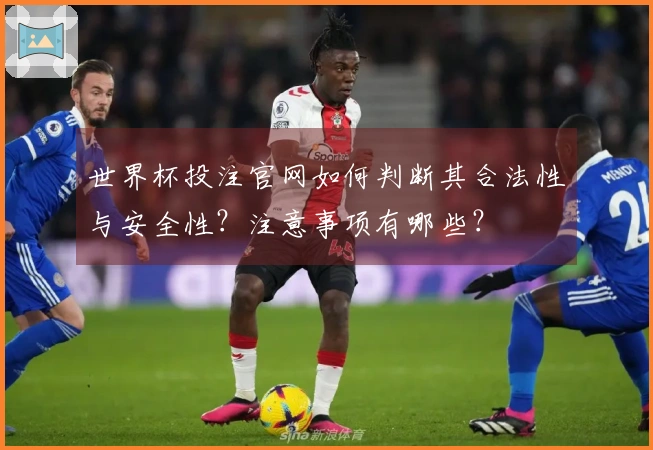 世界杯投注官网如何判断其合法性与安全性？注意事项有哪些？