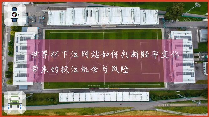 世界杯下注网站如何判断赔率变化带来的投注机会与风险