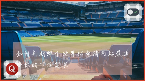 如何判断哪个世界杯竞猜网站最适合你的下注需求