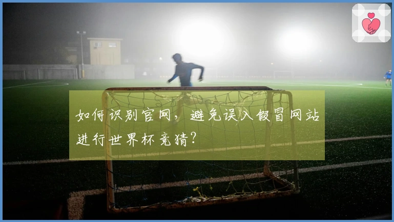 如何识别官网，避免误入假冒网站进行世界杯竞猜？