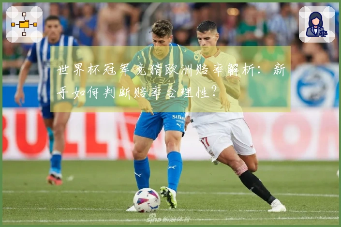 世界杯冠军竞猜欧洲赔率解析：新手如何判断赔率合理性？
