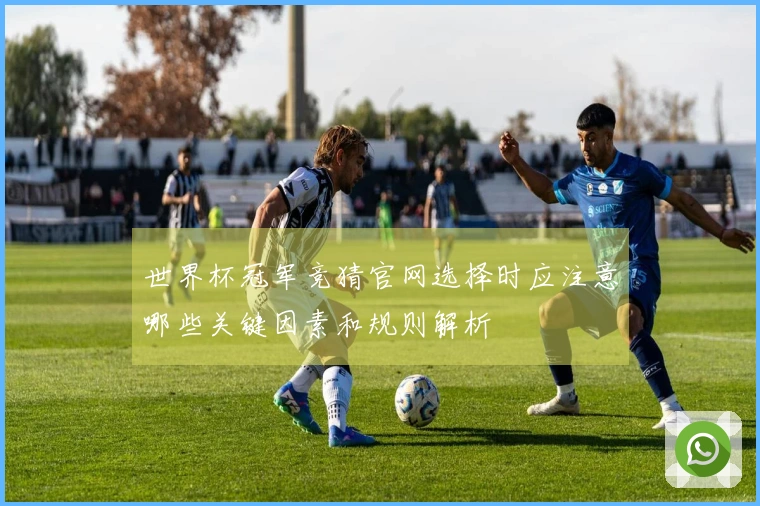 世界杯冠军竞猜官网选择时应注意哪些关键因素和规则解析