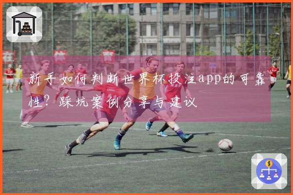 新手如何判断世界杯投注app的可靠性？踩坑案例分享与建议