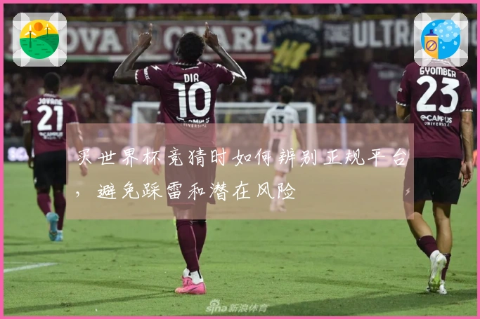 买世界杯竞猜时如何辨别正规平台，避免踩雷和潜在风险