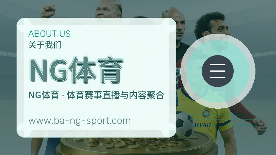 关于 NG体育